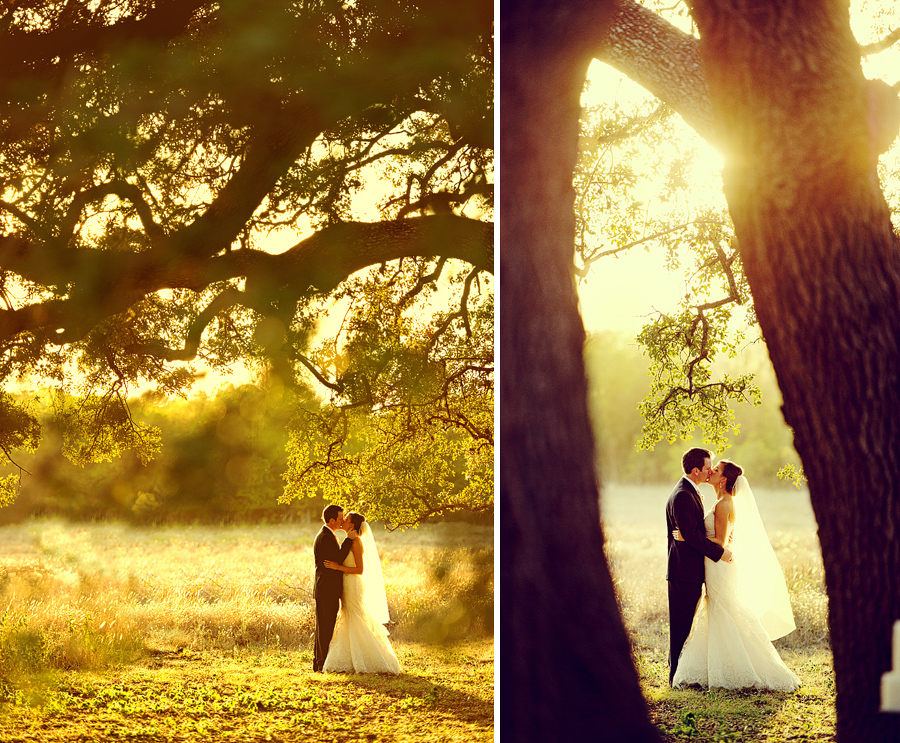 natural light warm portraits at The Vineyards at Chappel Lodge in Austin Texas.