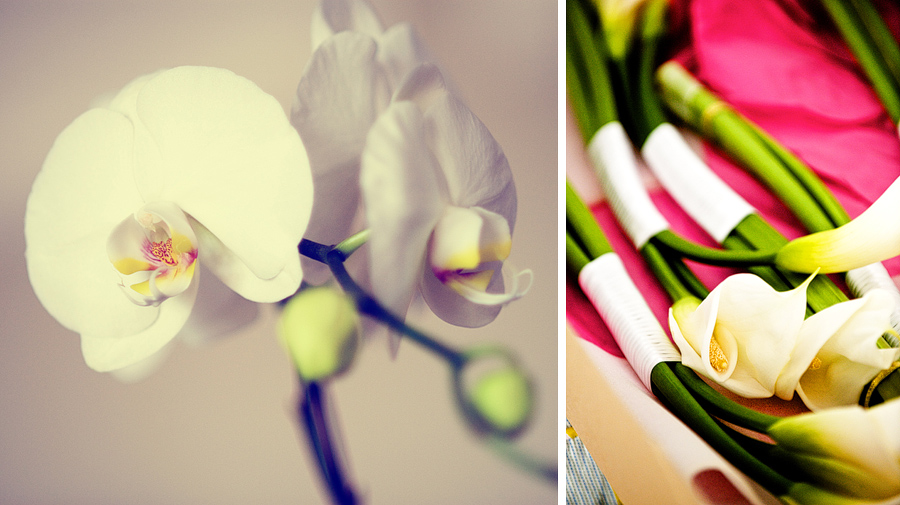 Orchids in St Barths for a wedding at Le Toiny Hotel by St Barths wedding photographer Kyle Coburn