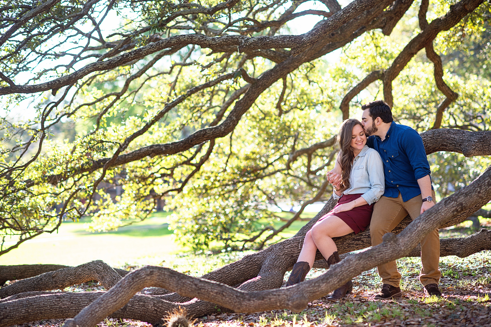 Engagement photos at the century tree